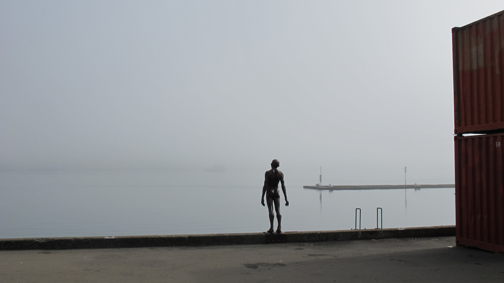 The Void Stares Also (Wellington harbour, 20 February 2014)