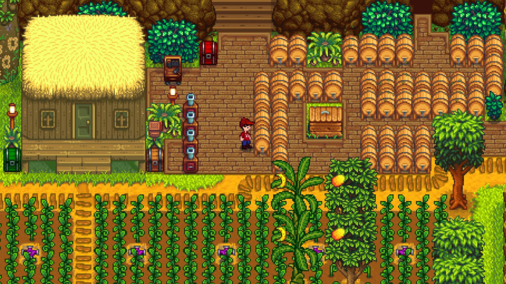 Screenshot from Stardew Valley, showing the player standing among fermentation casks on Ginger Island