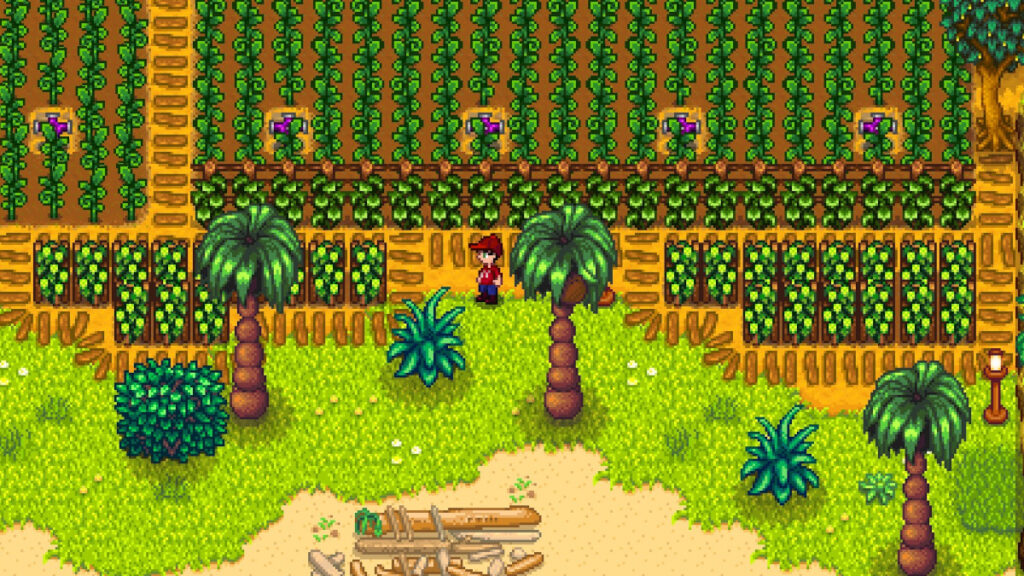 Screenshot from Stardew Valley, showing the player among hop bines on the edge of their 'ancient fruit' orchard